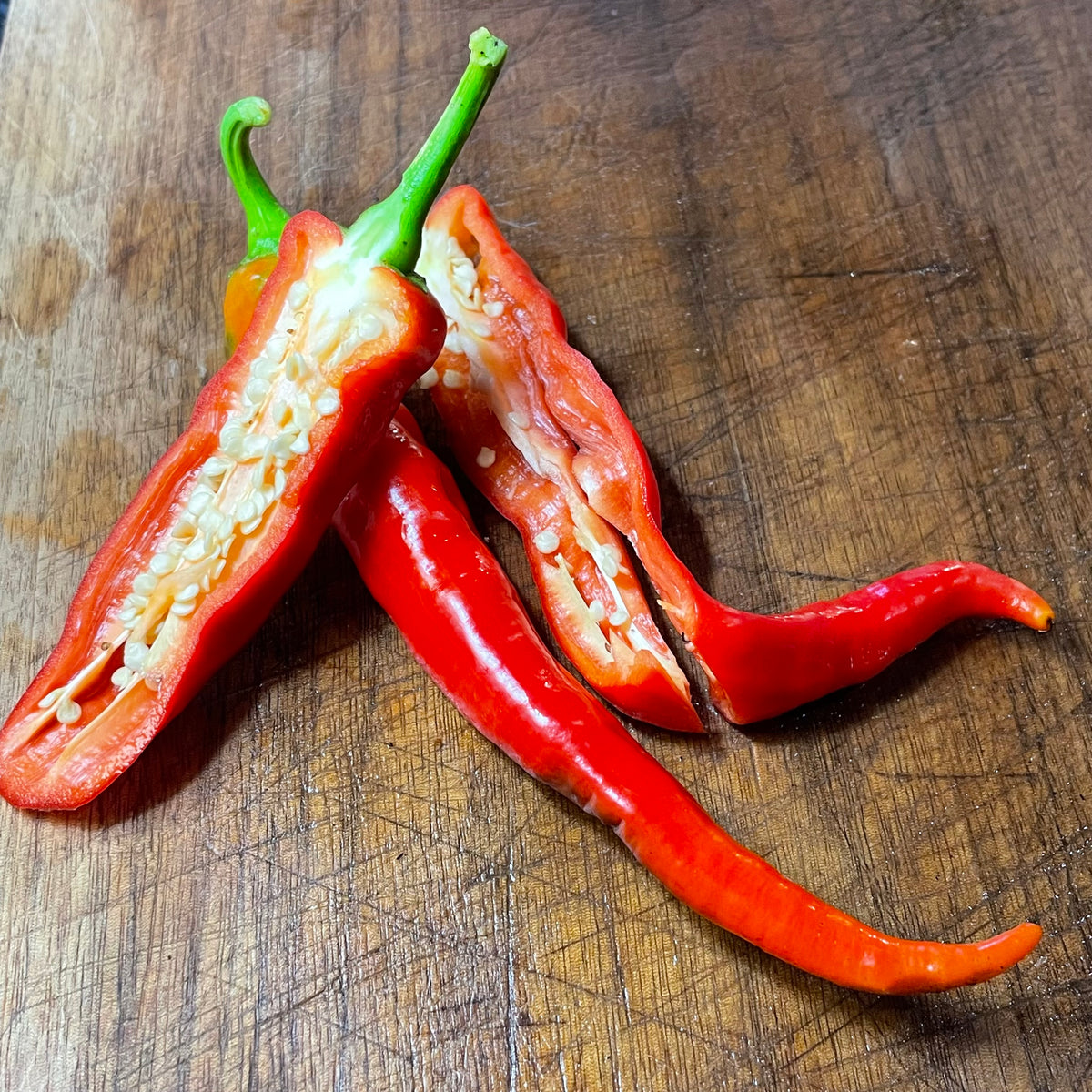 Semillas de pimiento Jimmy Nardello