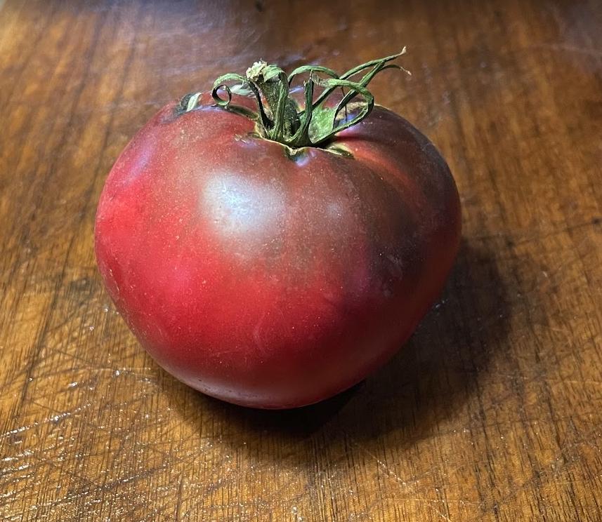 Carbon Tomato Seeds