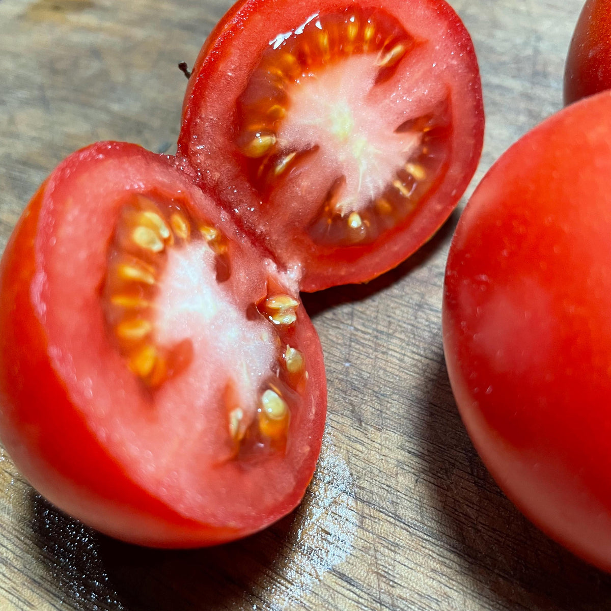 Manitoba Tomato Seeds