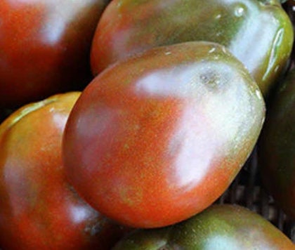 Japanese Black Trifele Tomato Seeds