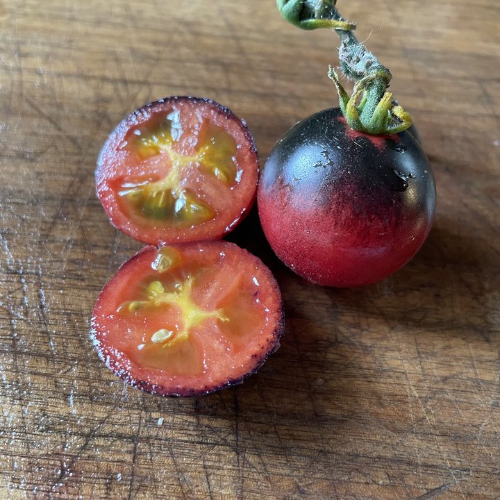 Just Can't Get Enough tomato fruit - photo 1