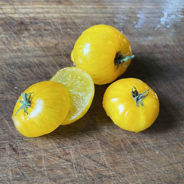 Dwarf Yellow Brick Road tomato fruit - photo 2