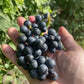 Valiant Grape Seeds