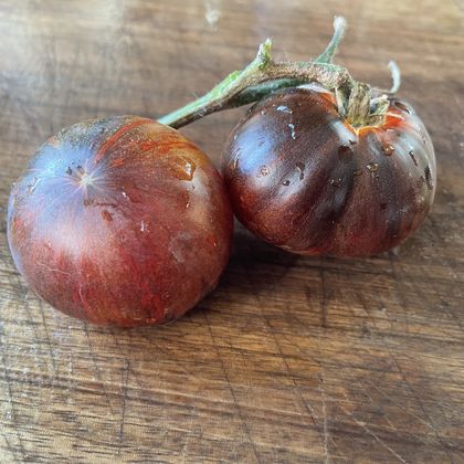 Strangelove tomato fruit - photo 4