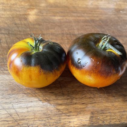 Lucid Gem tomato fruit - photo 4
