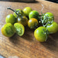 Fat Frog Micro Dwarf tomato fruit - photo 3