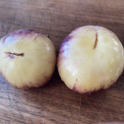 Dirty Curty Yellow tomato fruit - photo 4