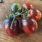 Shadow Boxing Type 4 tomato fruit - photo 4