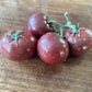 Dwarf Velvet Night tomato fruit - photo 5