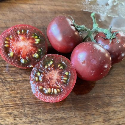 Dwarf Velvet Night tomato fruit - photo 7