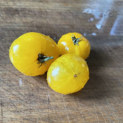 Dwarf Yellow Brick Road tomato fruit - photo 8