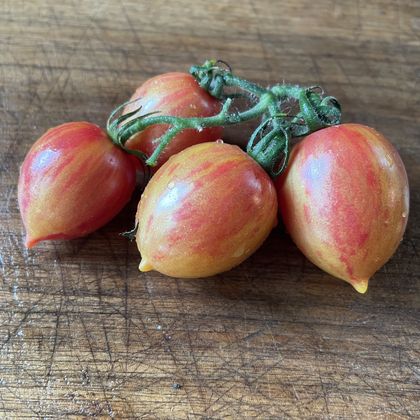 Candy Sweet Icicle tomato fruit - photo 6