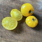 Dwarf Yellow Brick Road tomato fruit - photo 10