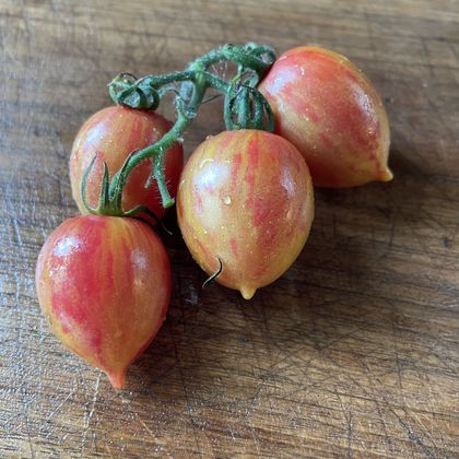 Candy Sweet Icicle tomato fruit - photo 7