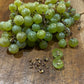 Plants de raisin Brianna