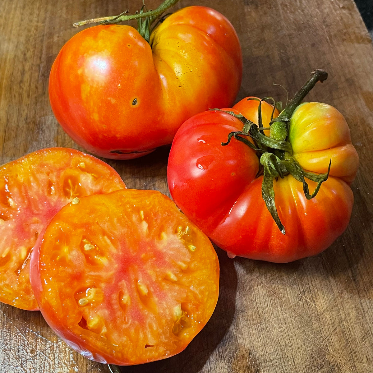 Northern Lights Tomato Seeds