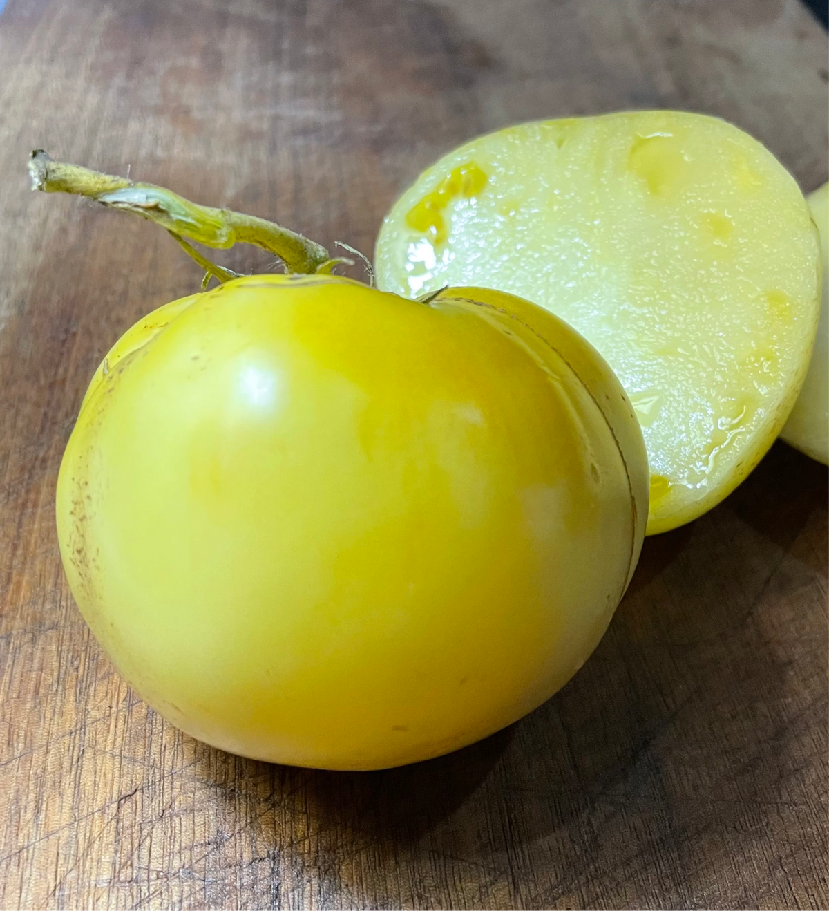 Graines de tomate Great White