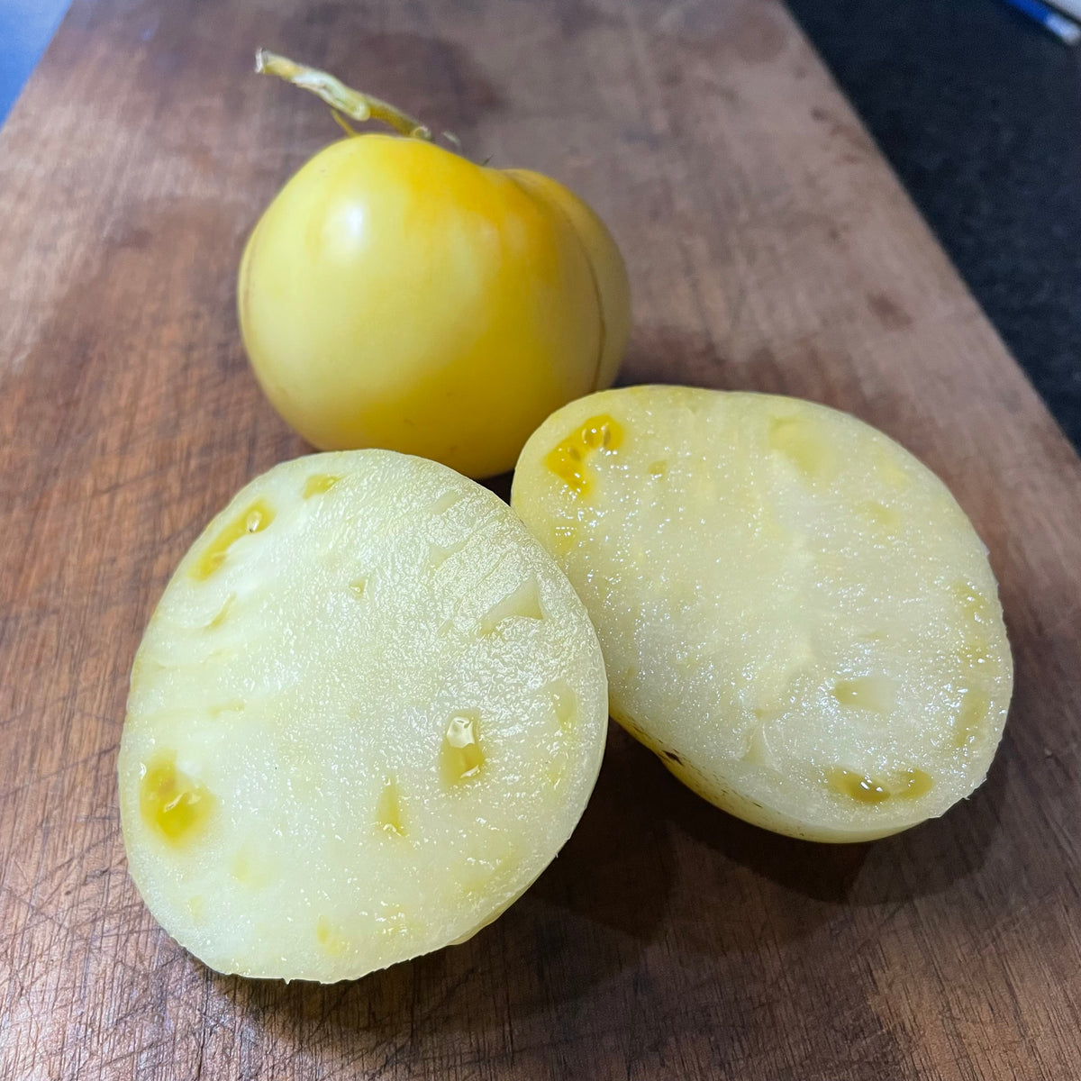 Graines de tomate Great White