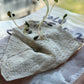 Jerusalem Artichoke Seeds