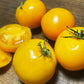 Kellogg's Breakfast Tomato Seeds