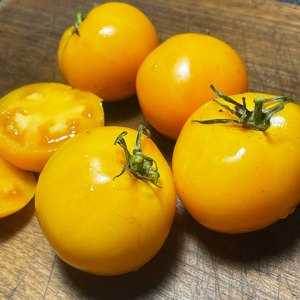 Kellogg's Breakfast Tomato Seeds