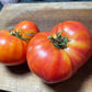 Northern Lights Tomato Seeds