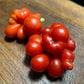 Godzilla Tomato Seeds