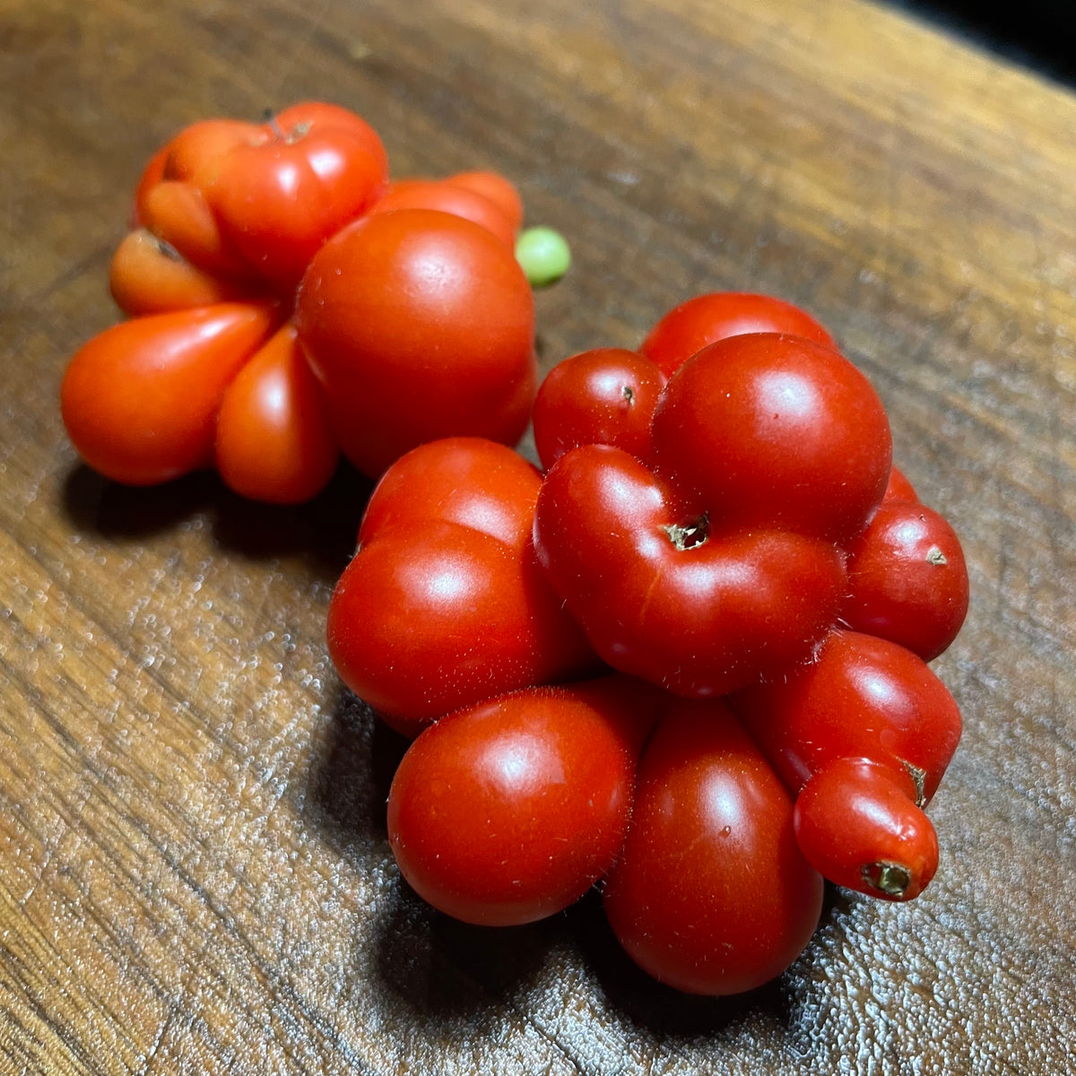 Godzilla Tomato Seeds