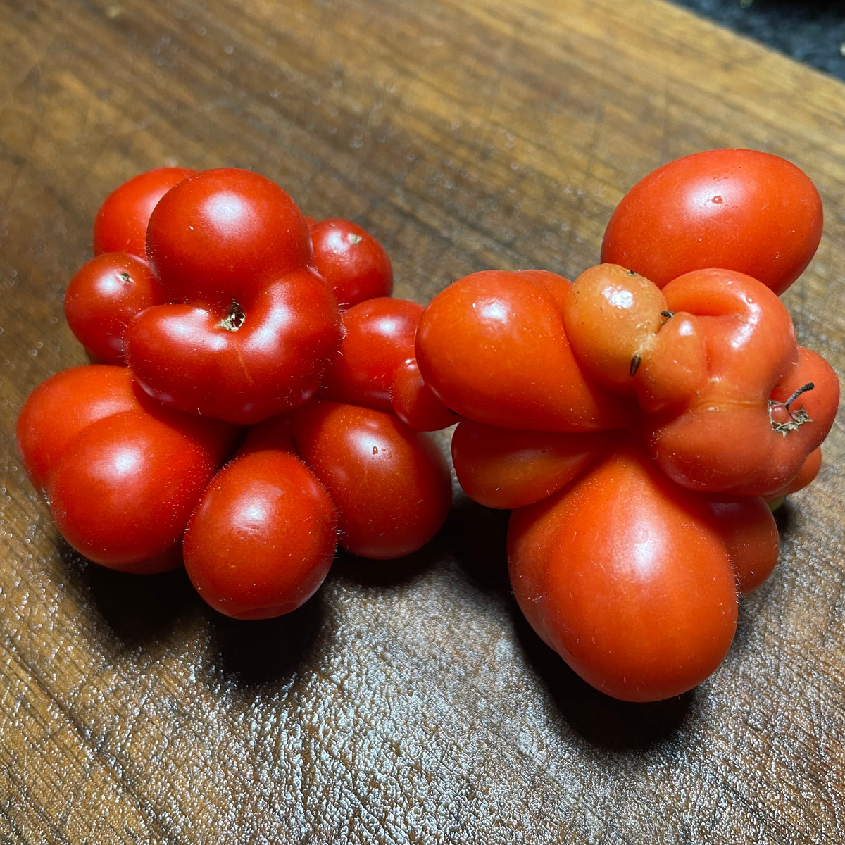 Godzilla Tomato Seeds
