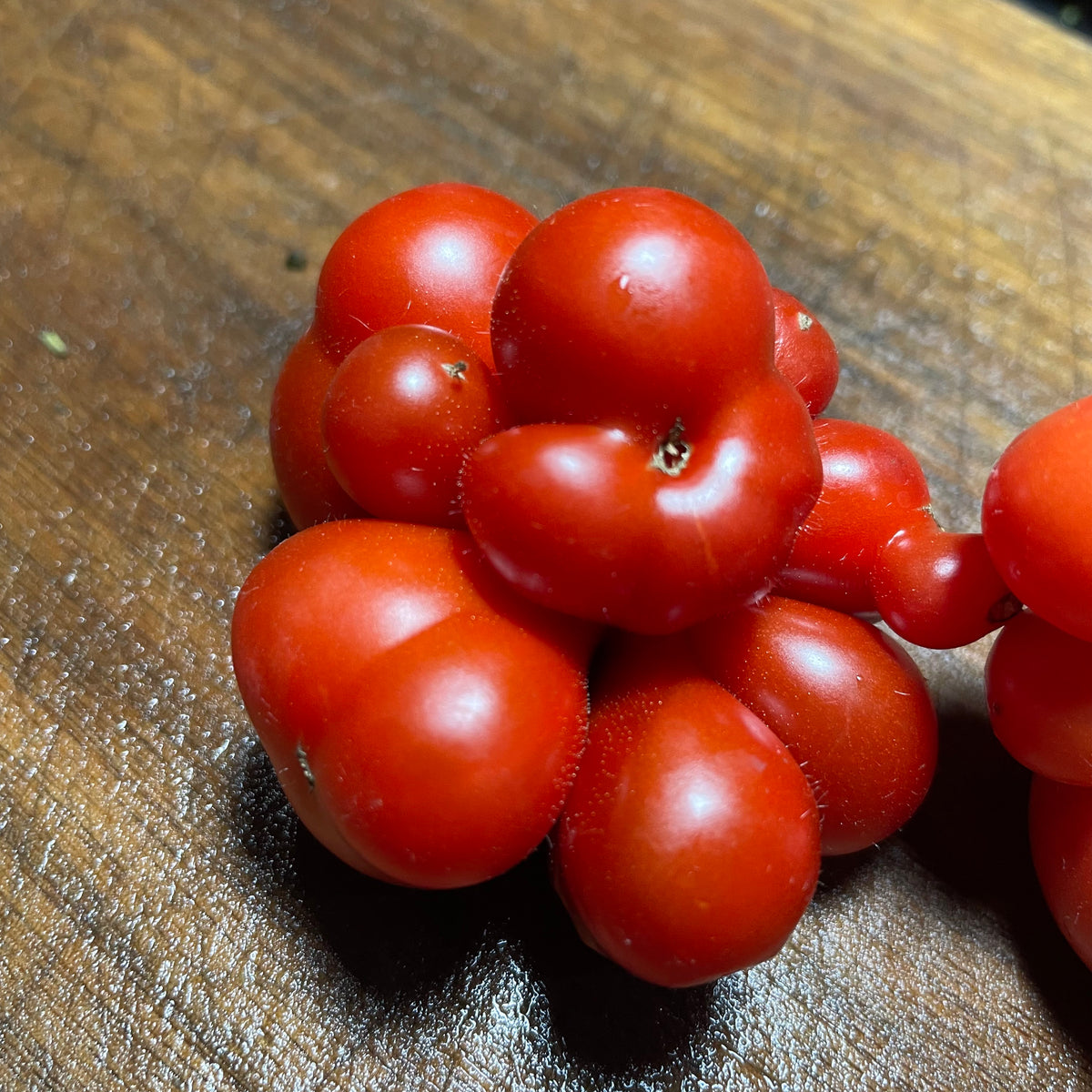 Godzilla Tomato Seeds