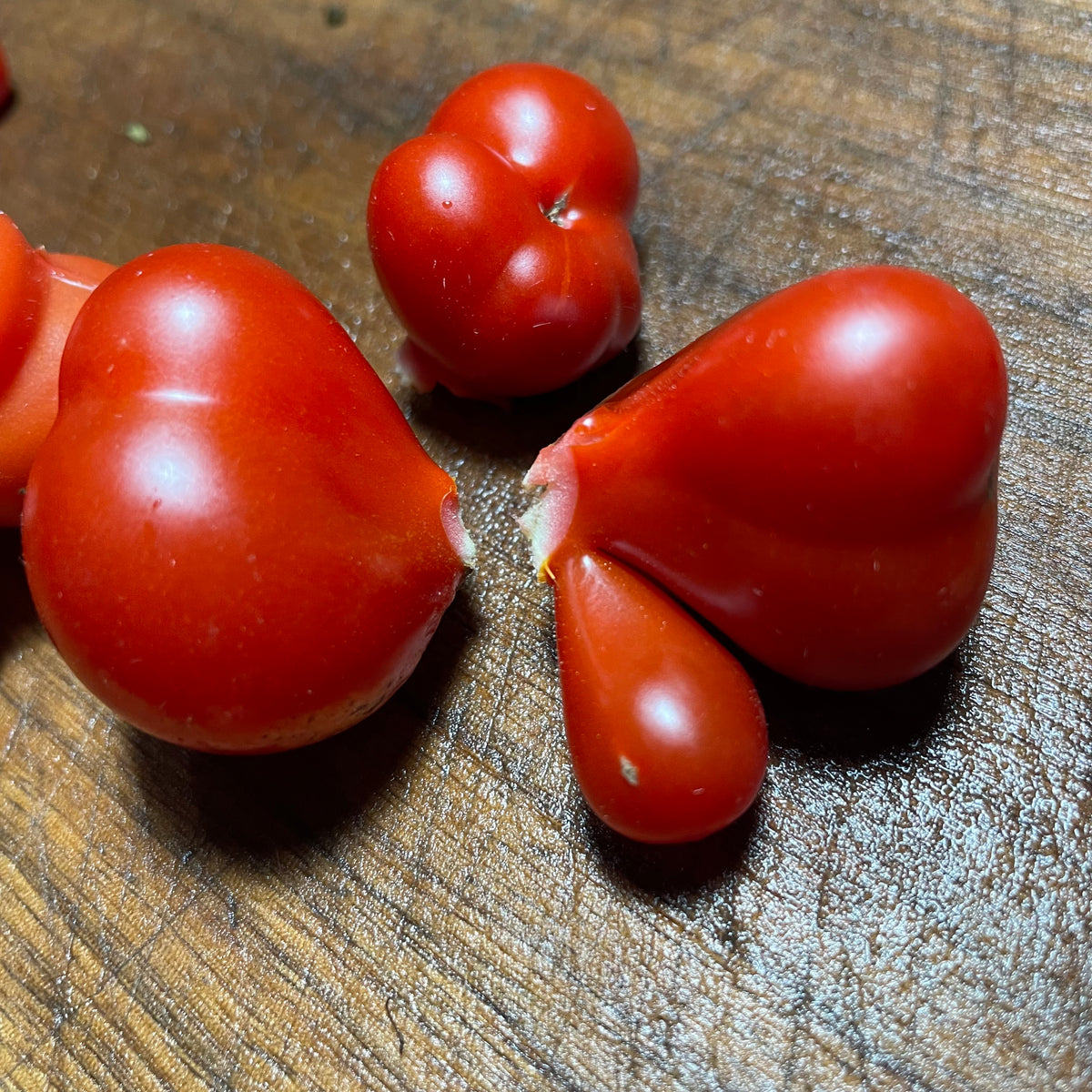 Godzilla Tomato Seeds
