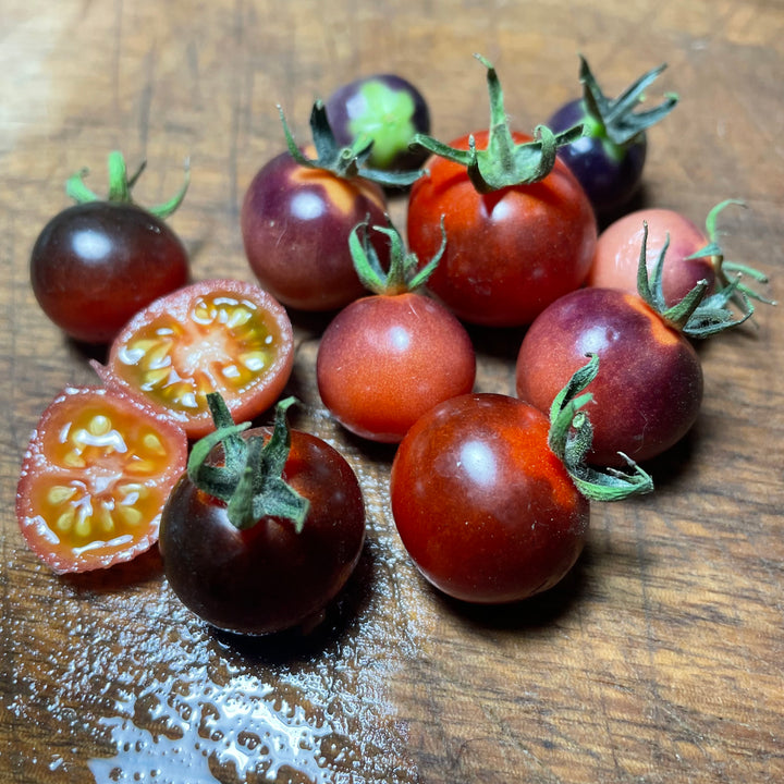 Blueberry Tomato Seeds