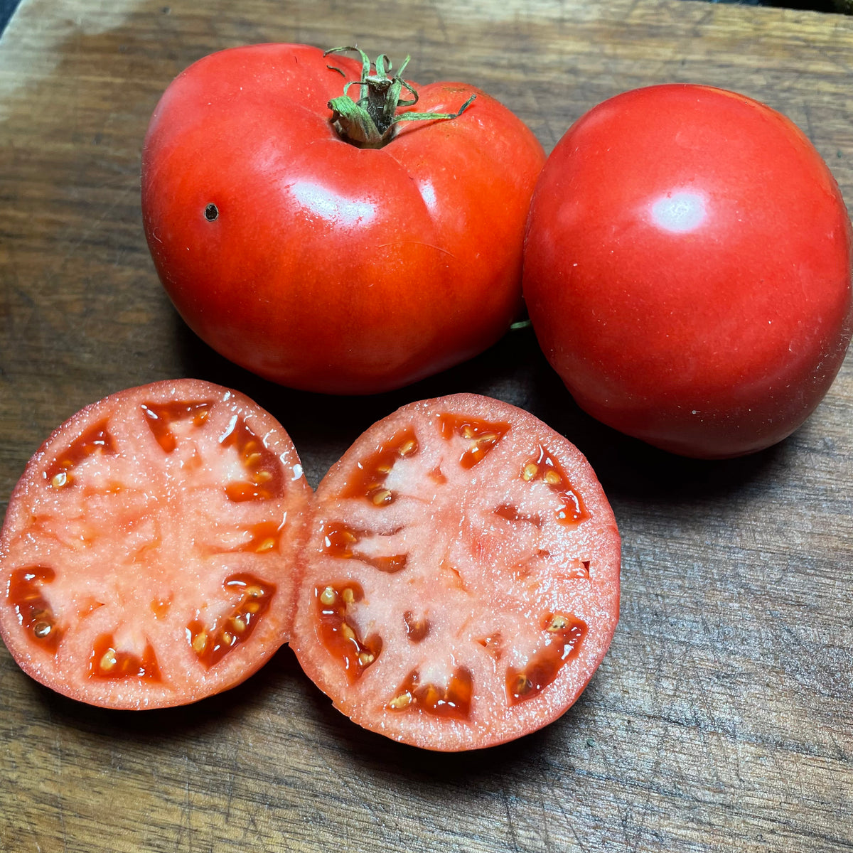 German Giant Tomato Seeds
