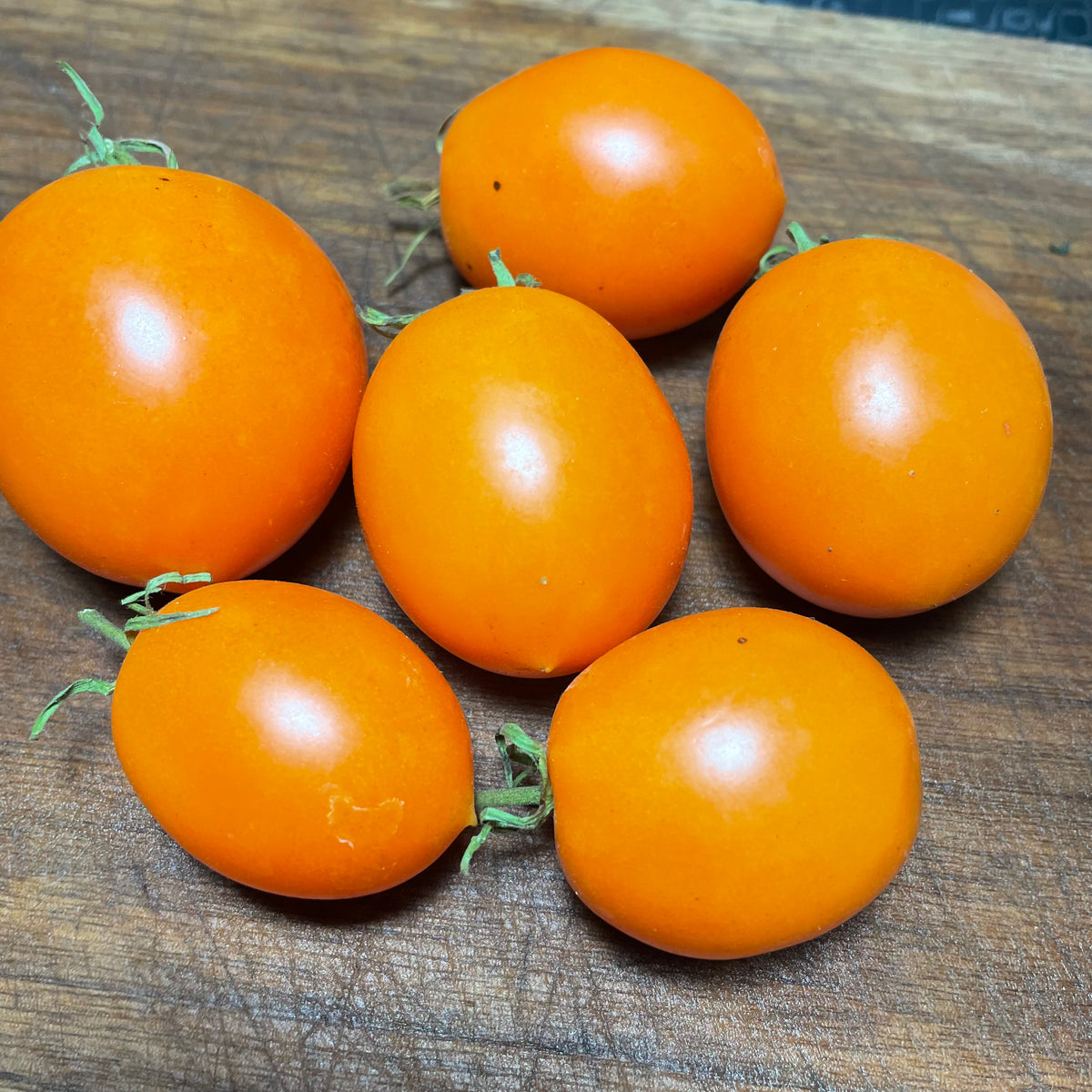 Sun Sugar XL Tomato Seeds