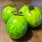 Graines de tomate Green Zebra