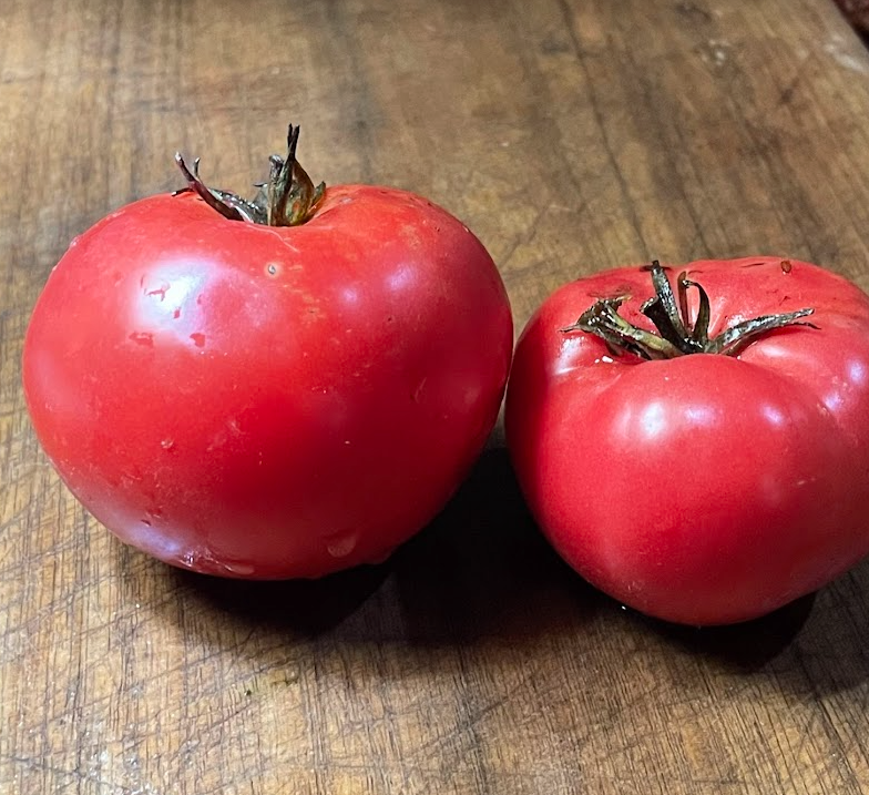 German Giant Tomato Seeds