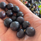 Crandall Clove Currant Seeds