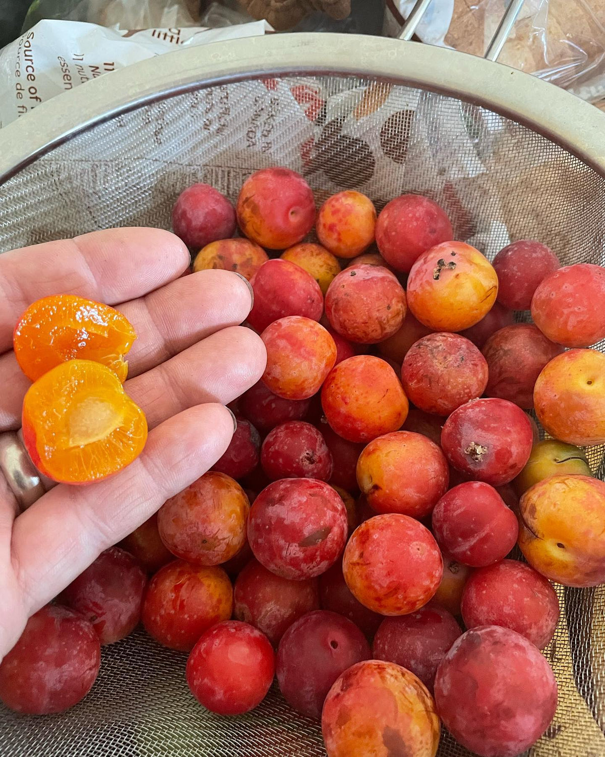 ¿Pueden identificar estas ciruelas?, imagen 4 de 4