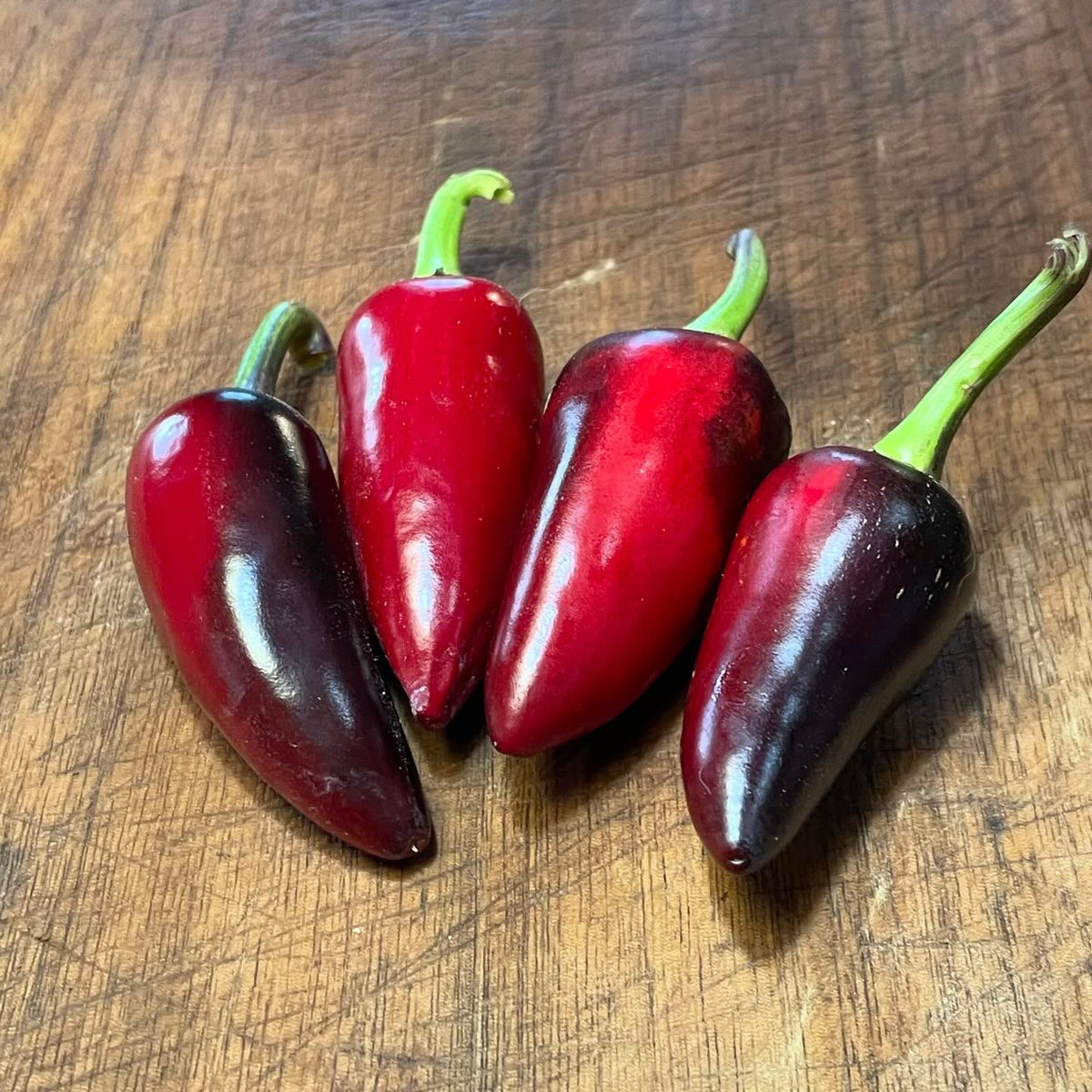 Czech Black, Pasilla Bajio, Jimmy Nardello, Bananarama, Super Chilli #peppers, imagen 1 de 5
