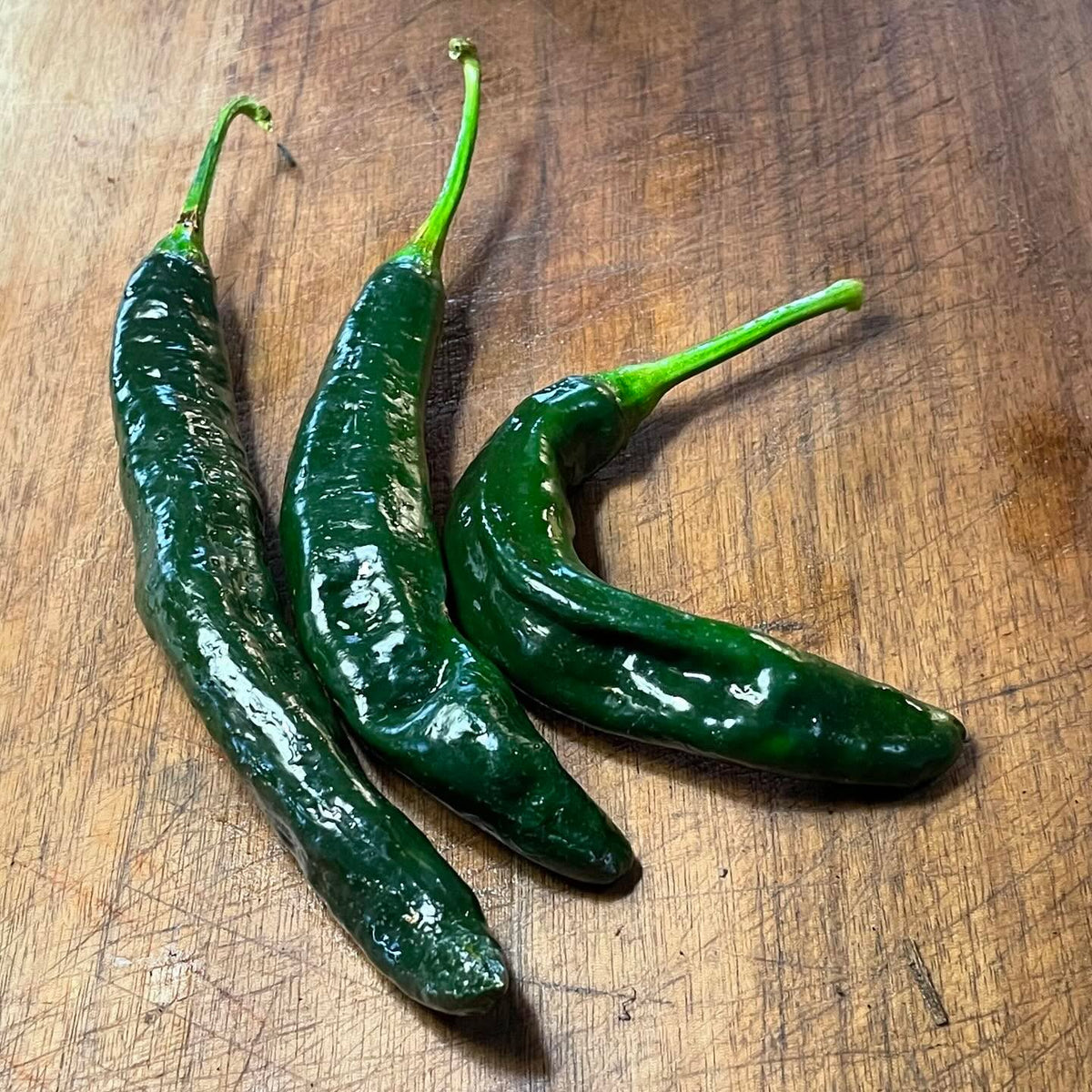 Czech Black, Pasilla Bajio, Jimmy Nardello, Bananarama, Super Chilli #peppers, imagen 2 de 5