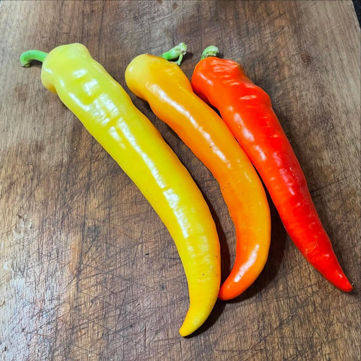 Czech Black, Pasilla Bajio, Jimmy Nardello, Bananarama, Super Chilli #peppers, imagen 4 de 5