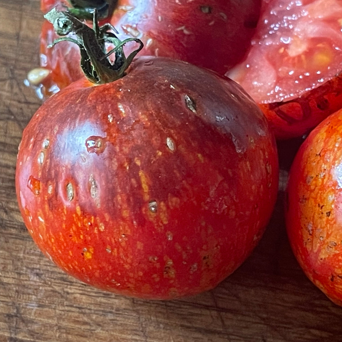 Dark Galaxy tomato close view at Oak Summit Nursery, upright view [osn-rotate-20260829:3]