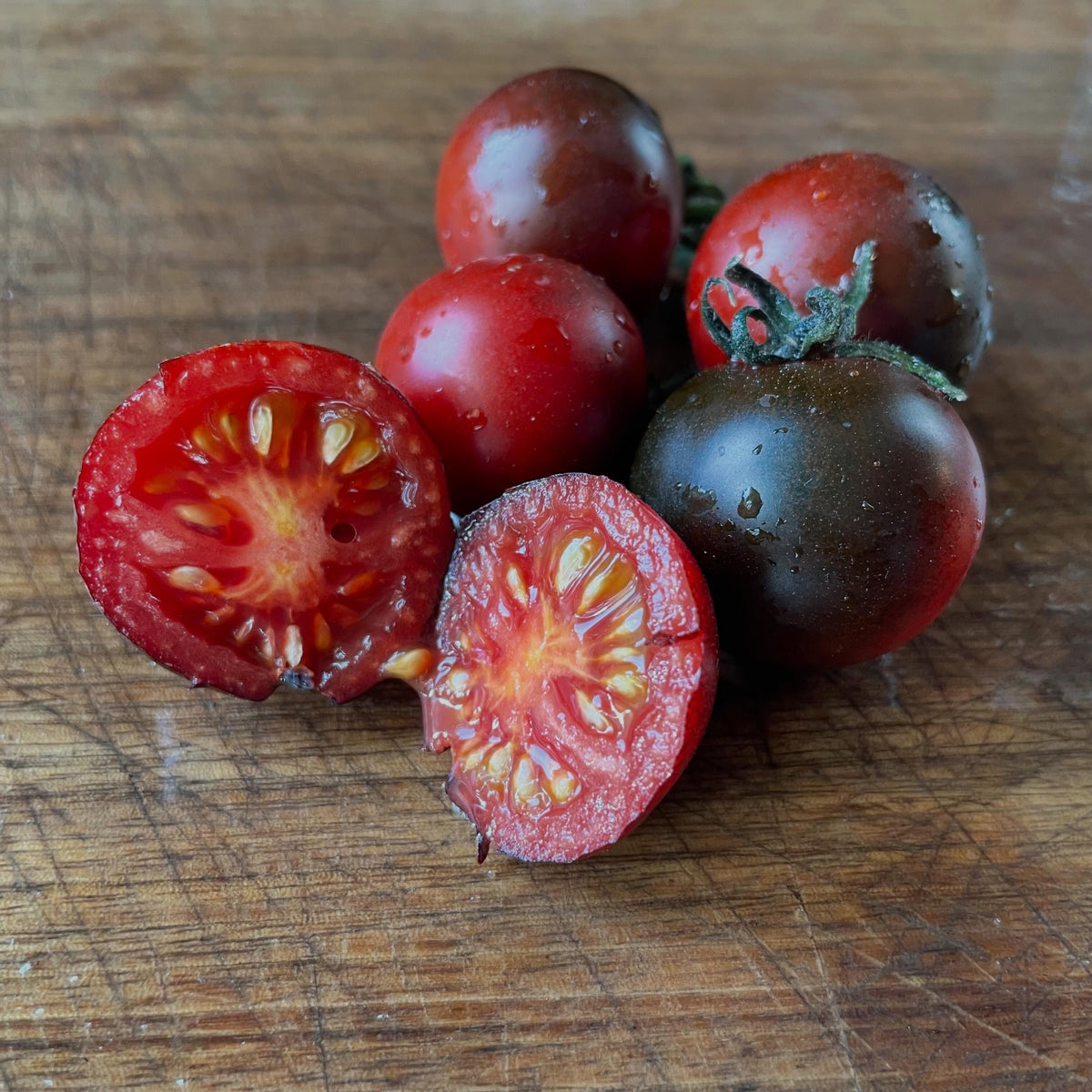 Just Can't Get Enough tomato in the Oak Summit Nursery growing trial