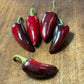 Semillas de pimiento Czech Black