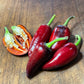 Semillas de pimiento Czech Black