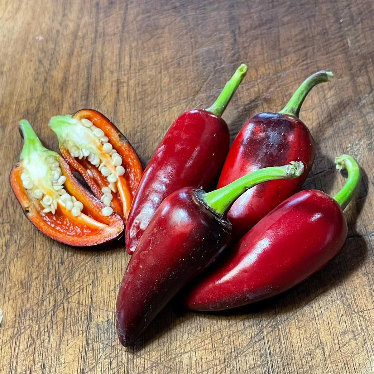 Semillas de pimiento Czech Black