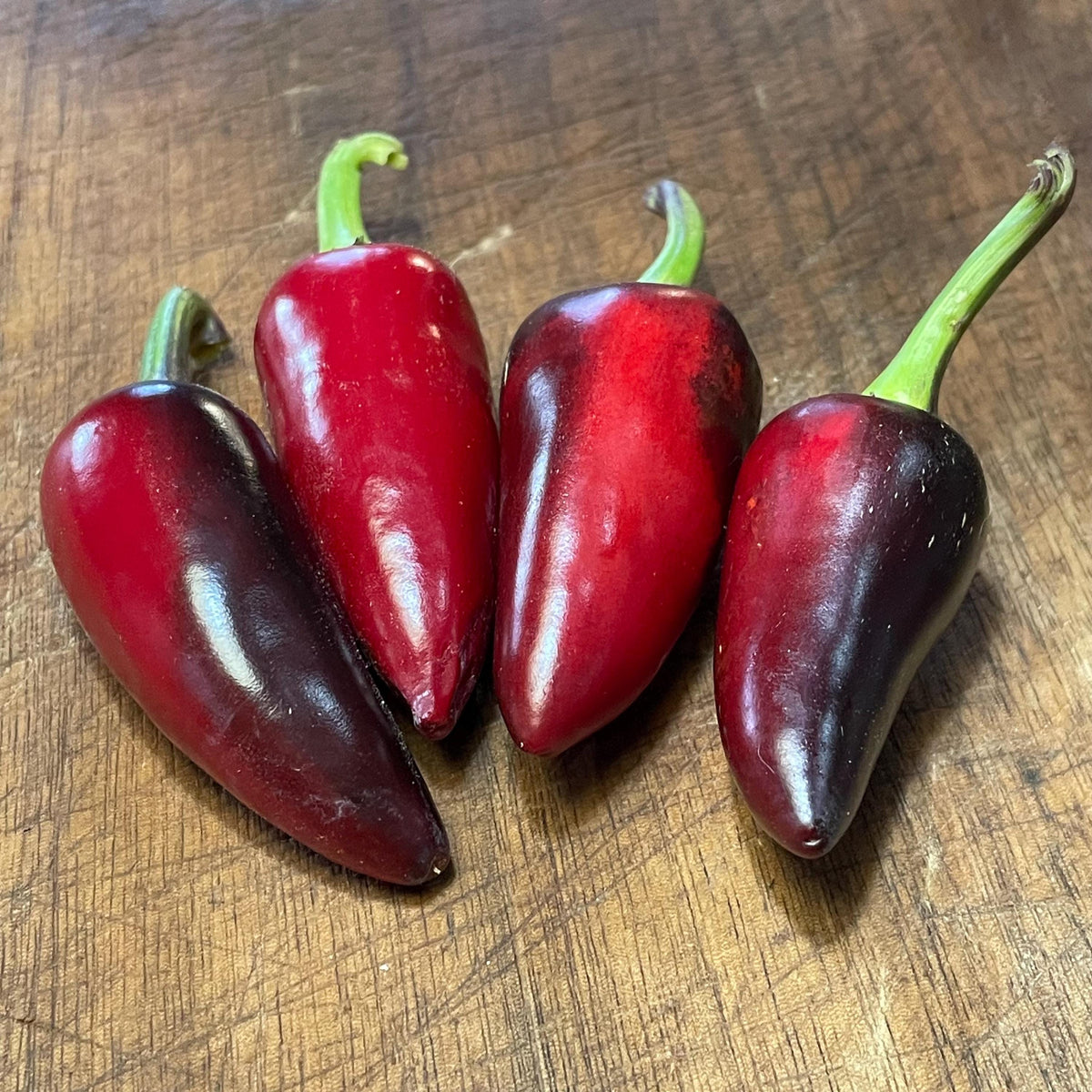Semillas de pimiento Czech Black