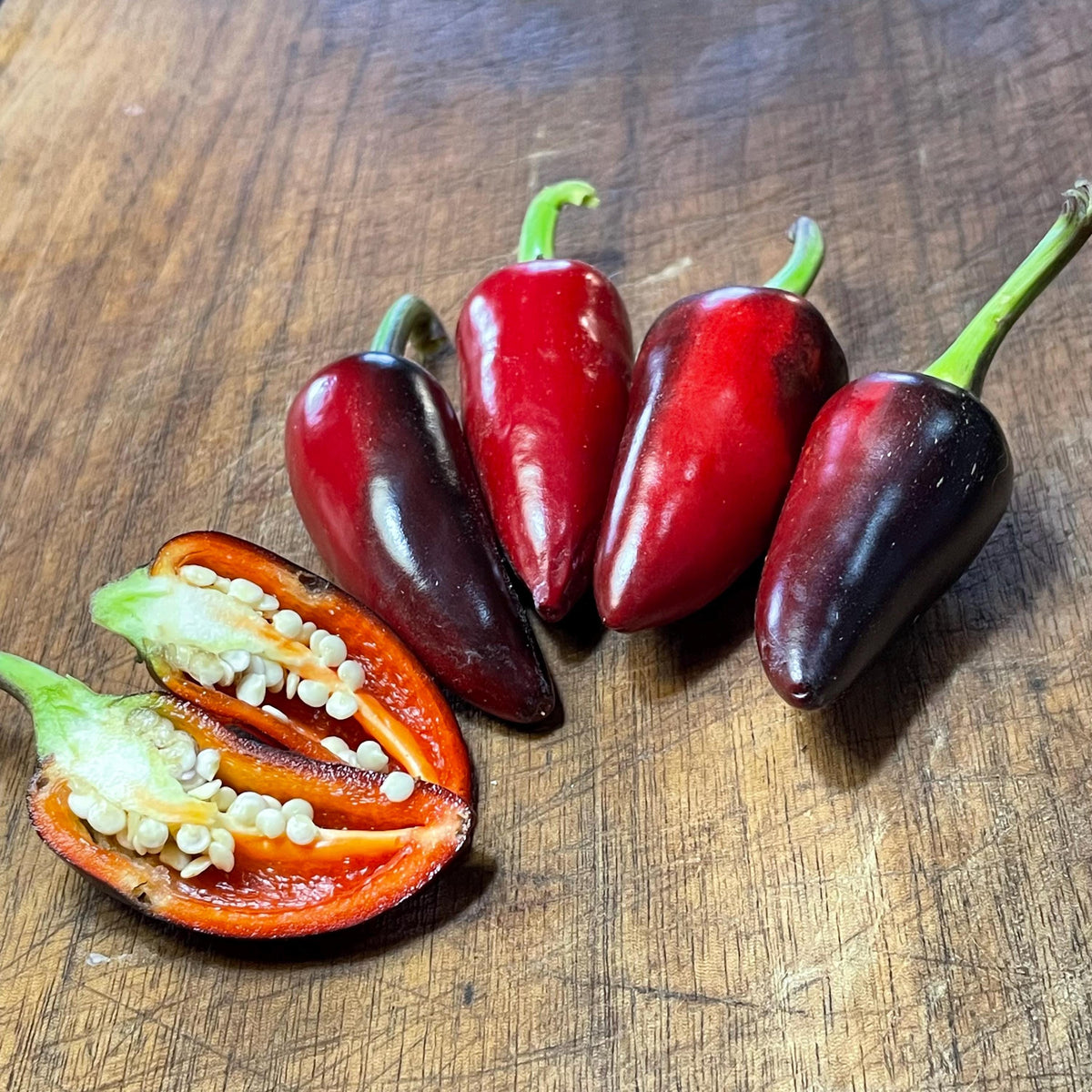 Semillas de pimiento Czech Black
