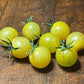 White Rabbit Tomato Seeds