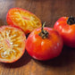 Hillbilly Tomato Seeds
